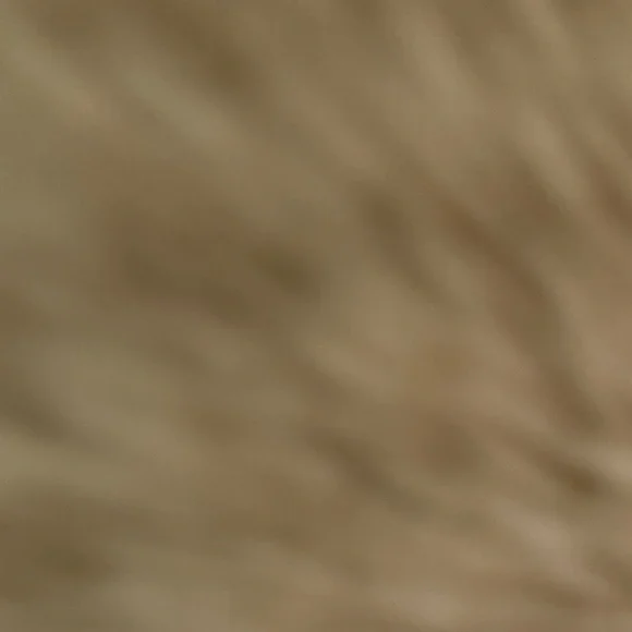 The Beaufort Bonnet Company Multicolor Nature Print Dress - Picture 3 of 5